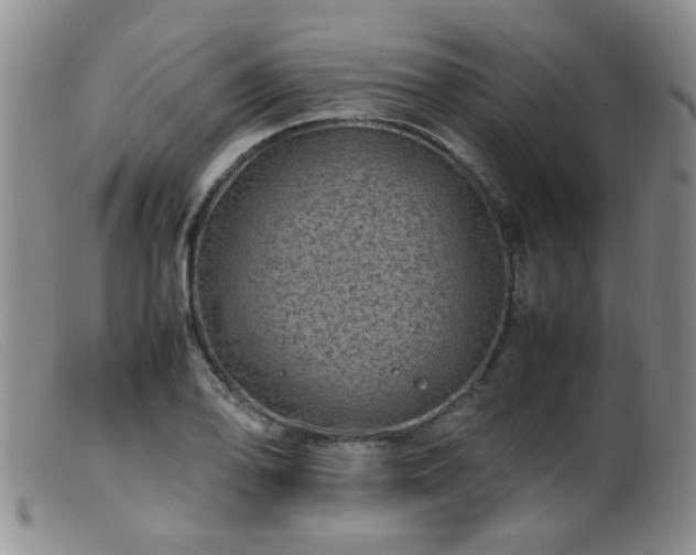 X0000099471078200805161105