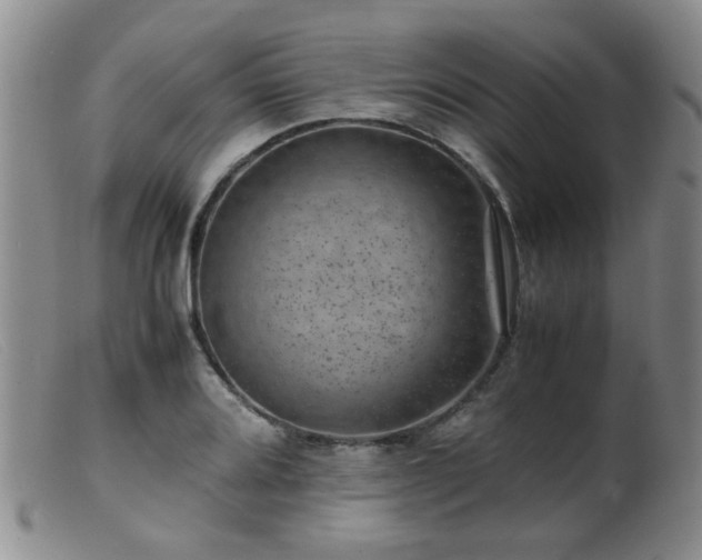 X0000099471080200805161105