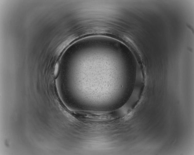 X0000099471081200805161105
