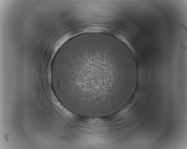 X0000099471083200805161105