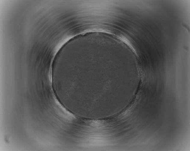X0000099471084200805161105
