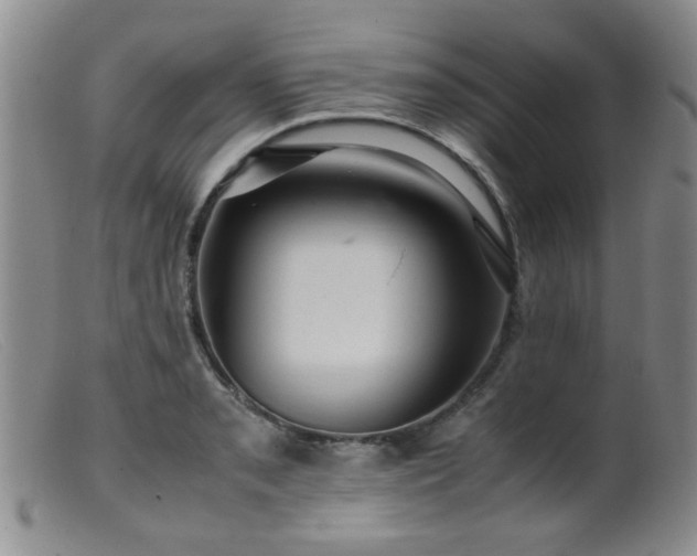 X0000099471085200805161105