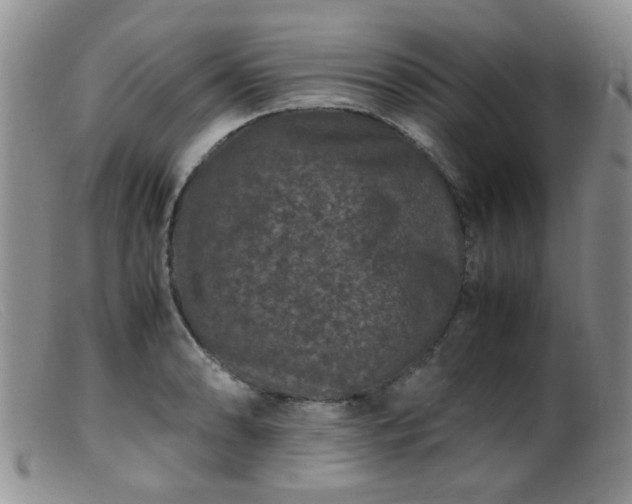 X0000099471086200805161105