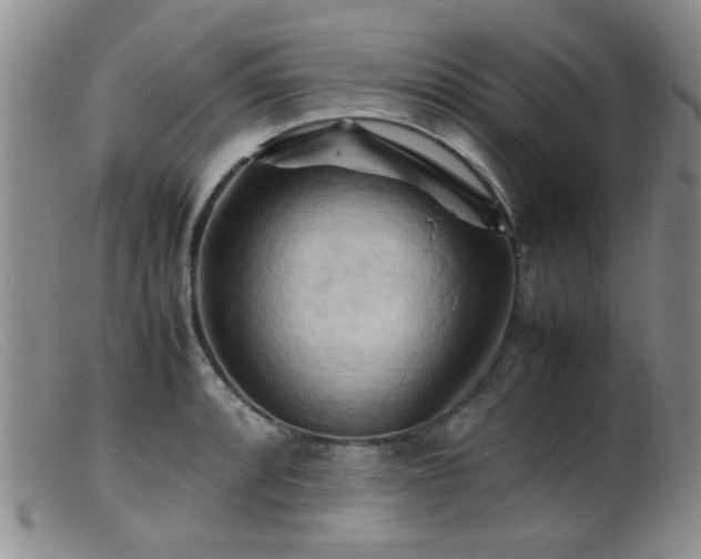 X0000099471088200805161105