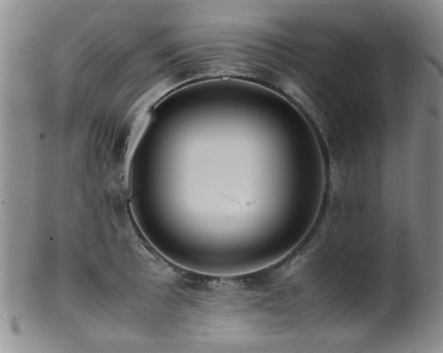 X0000099471089200805161105