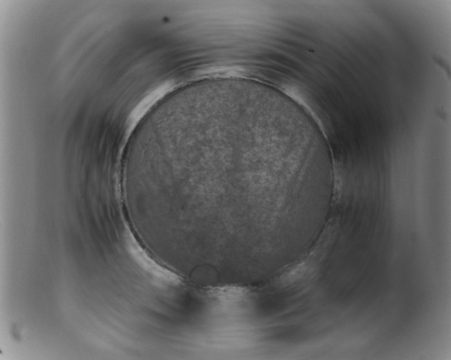 X0000099471090200805161105
