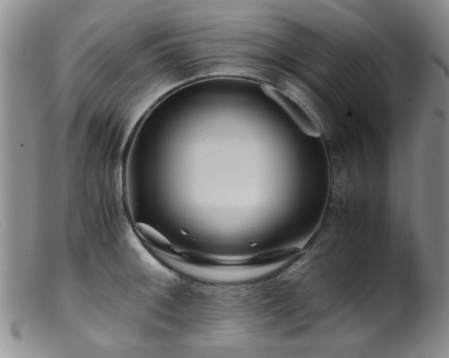 X0000099471092200805161105