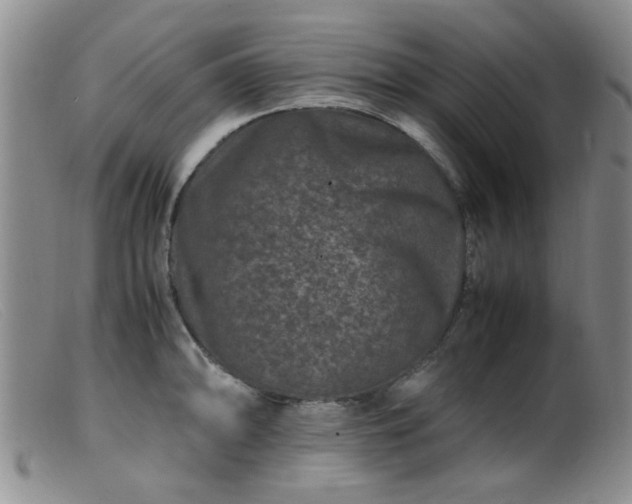 X0000099471094200805161105