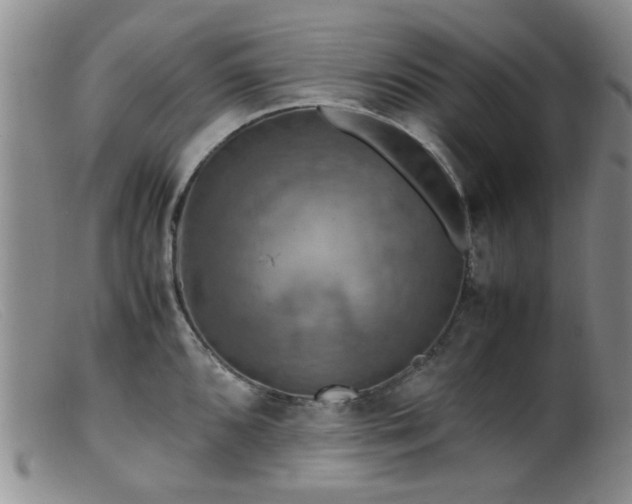 X0000099471096200805161105