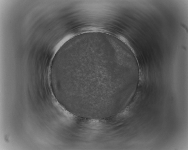 X0000099471098200805161105