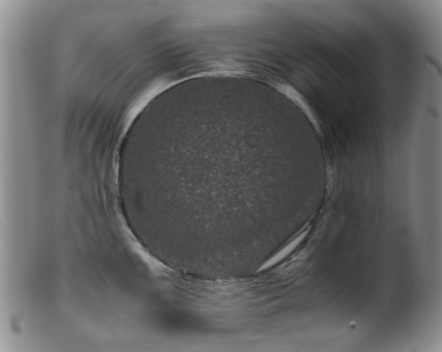 X0000099471099200805161105