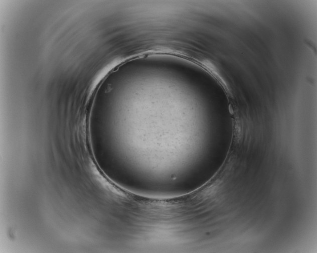 X0000099471100200805161105