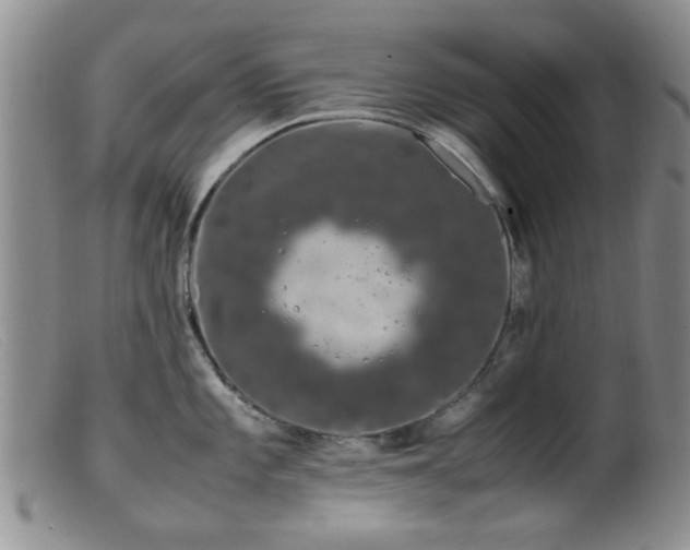 X0000099471101200805161105