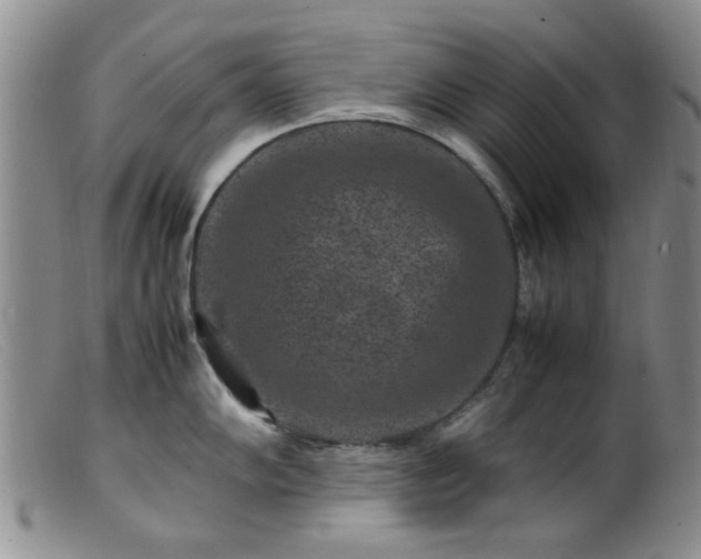 X0000099471102200805161105