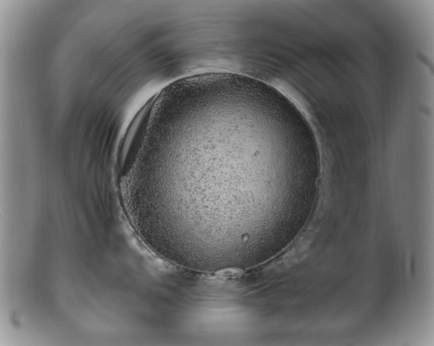 X0000099471104200805161105