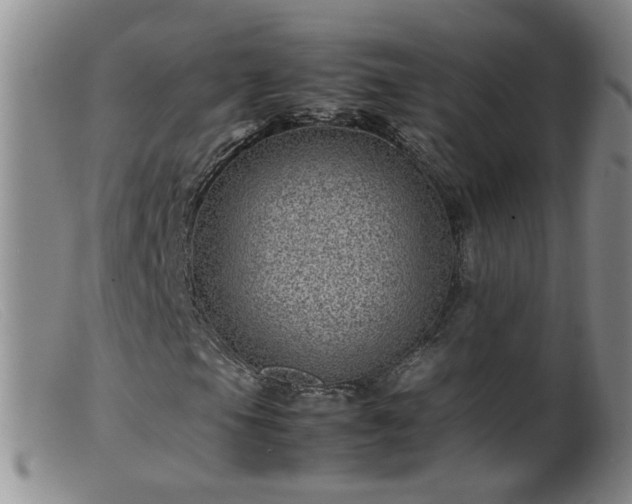 X0000099471105200805161104