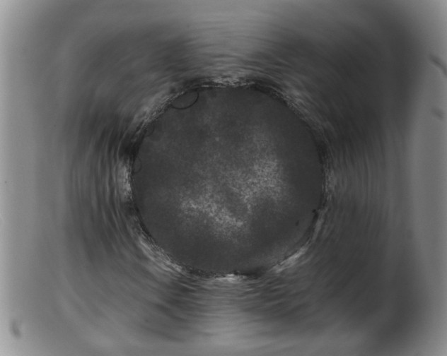 X0000099471106200805161104
