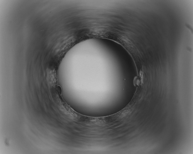 X0000099471107200805161104