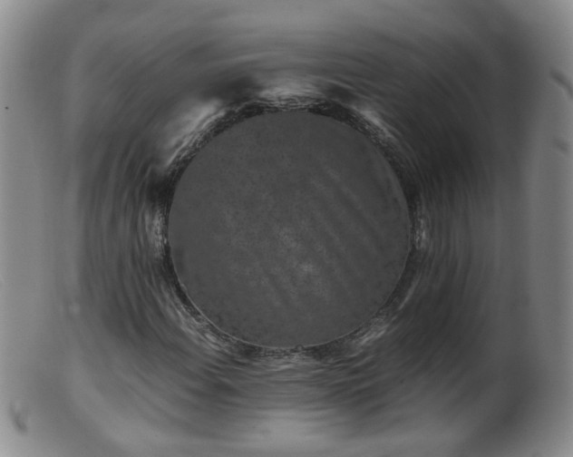 X0000099471108200805161104