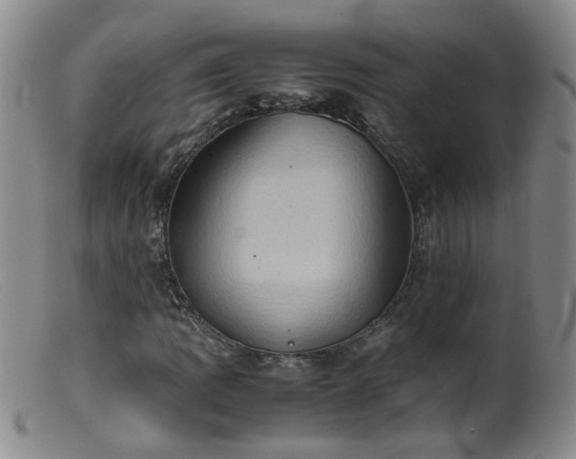 X0000099471109200805161104