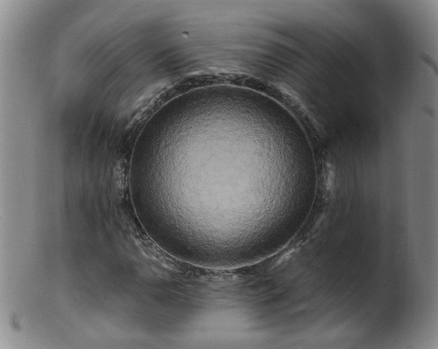 X0000099471110200805161104