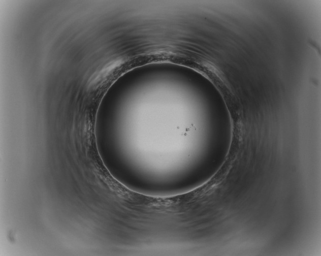 X0000099471111200805161104