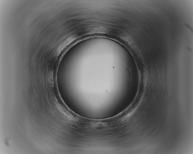 X0000099471113200805161104