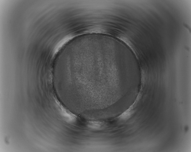 X0000099471115200805161104
