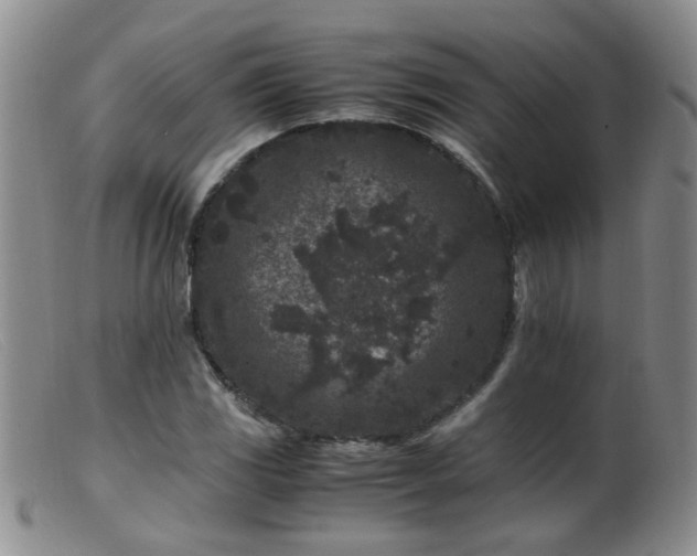 X0000099471117200805161104