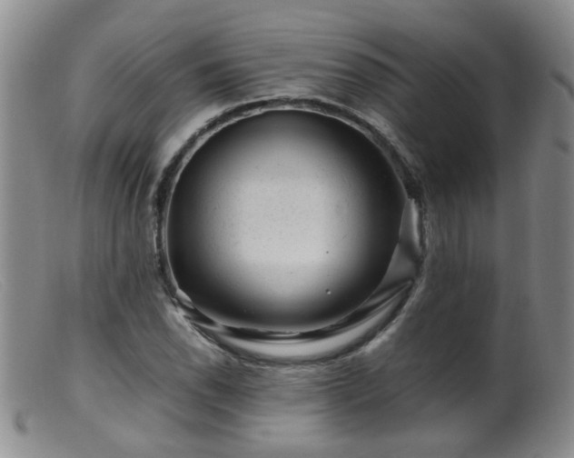X0000099471118200805161104