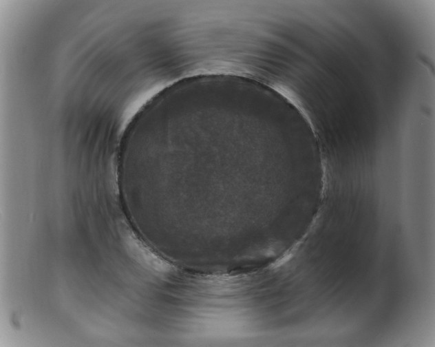 X0000099471120200805161104