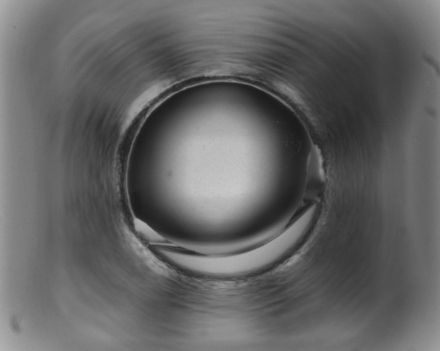 X0000099471122200805161104
