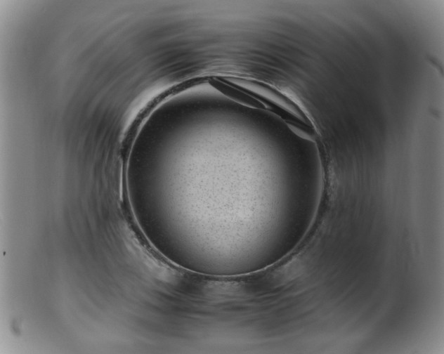 X0000099471123200805161104