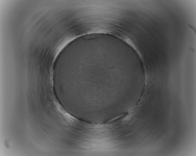 X0000099471124200805161104