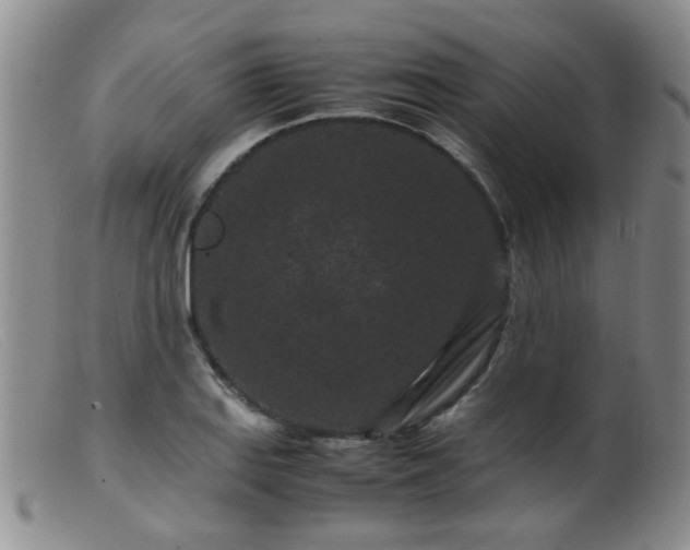 X0000099471127200805161104