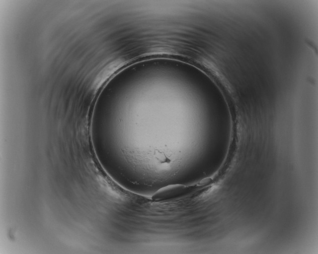 X0000099471129200805161104