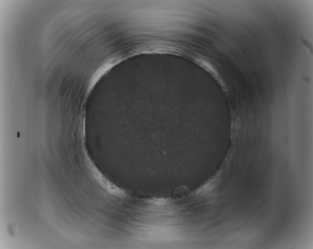 X0000099471130200805161104