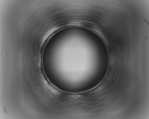 X0000099471131200805161105