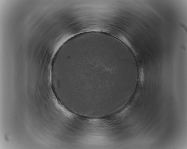 X0000099471132200805161105