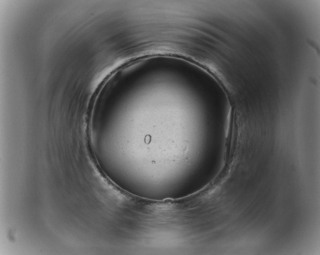 X0000099471134200805161105