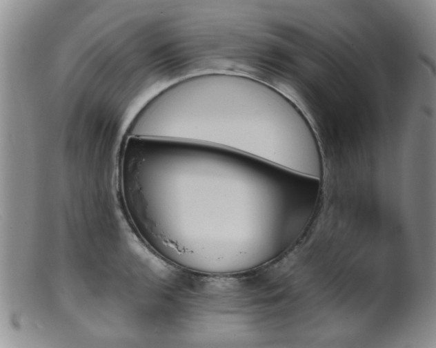 X0000099471136200805161105