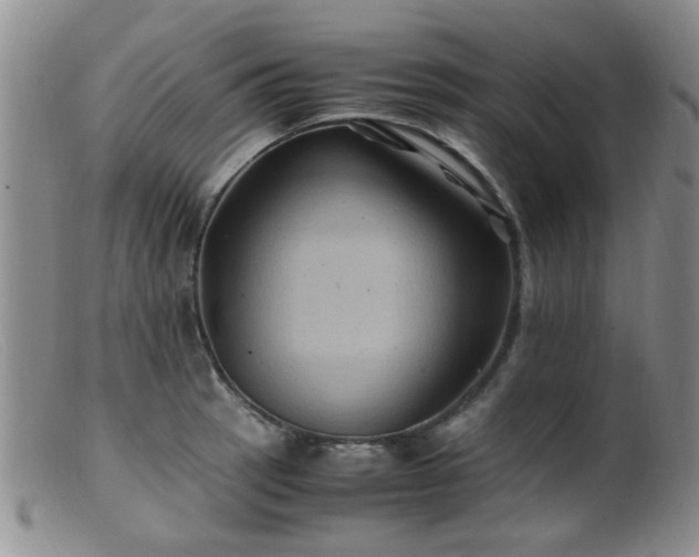 X0000099471137200805161105
