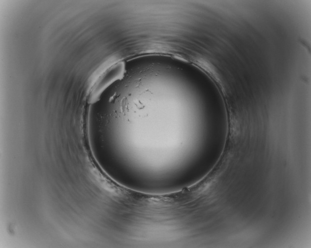 X0000099471138200805161105