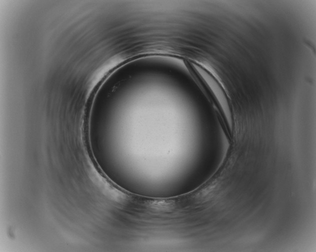 X0000099471139200805161105