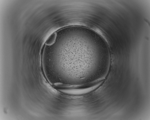 X0000099471140200805161105