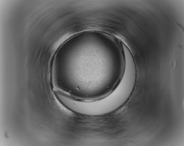 X0000099471143200805161105