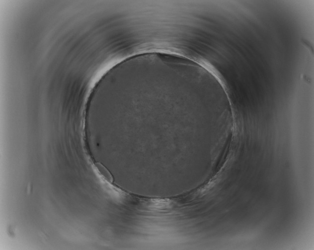 X0000099471144200805161105