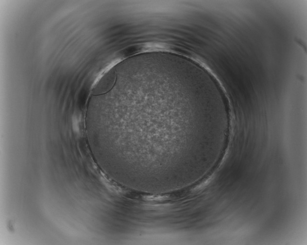 X0000099471145200805161105