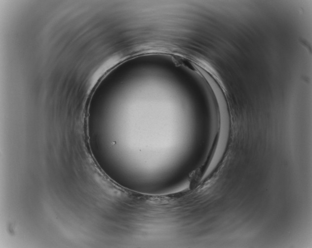 X0000099471146200805161105