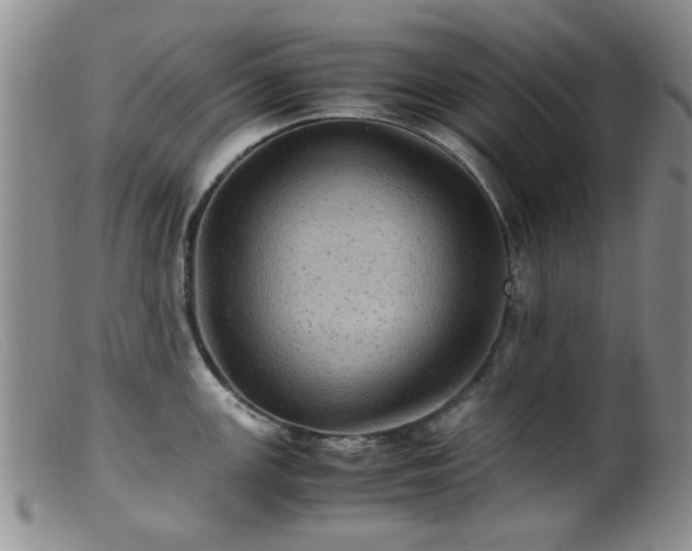 X0000099471147200805161105